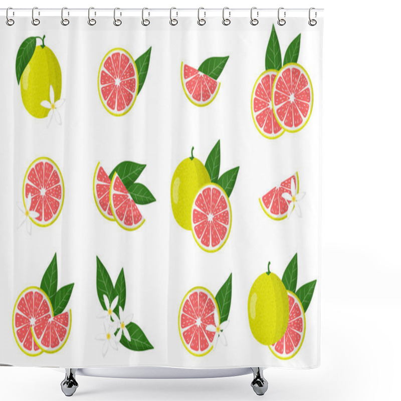 Personality  Set Of Illustrations With Pomelo Exotic Citrus Fruits, Flowers And Leaves Isolated On A White Background. Isolated Vector Icons Set. Shower Curtains