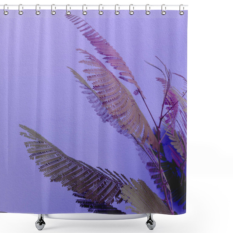 Personality  Plants On Pink Creative Concept. Plant Lovers. Minimal  Canary Island Shower Curtains