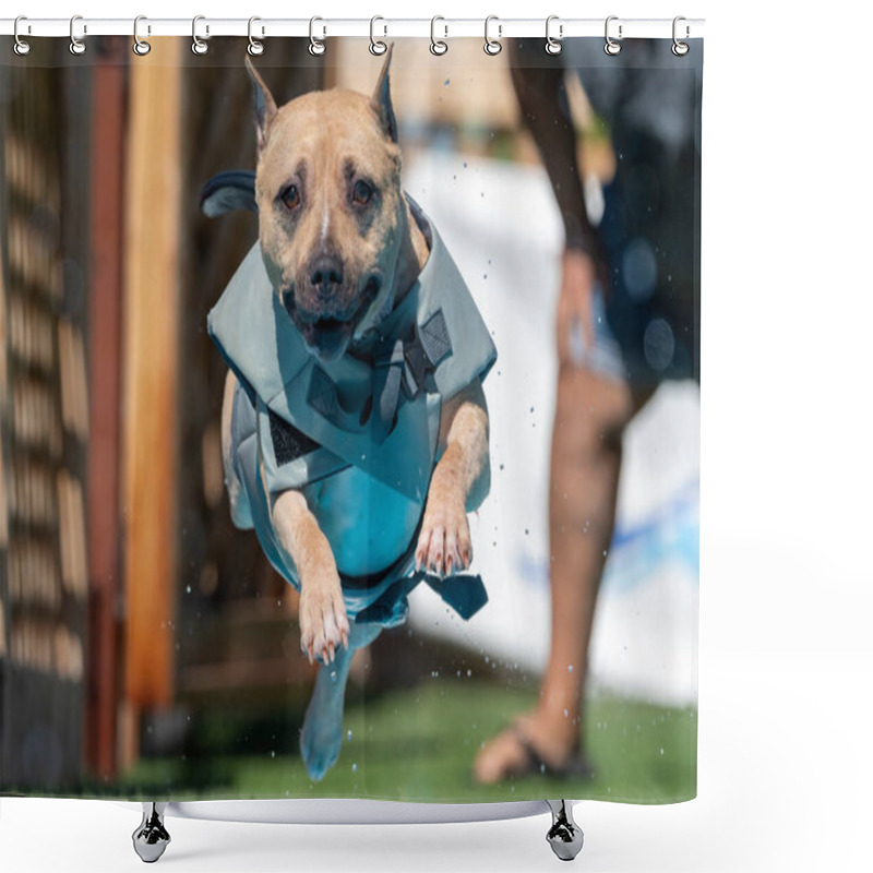 Personality  Am Staff Dog In A Gray Floatation Vest Jumping Into A Pool Shower Curtains