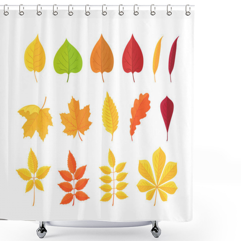 Personality  Botanical Set Of Bright Autumn Leaves. Vector Illustration. Shower Curtains