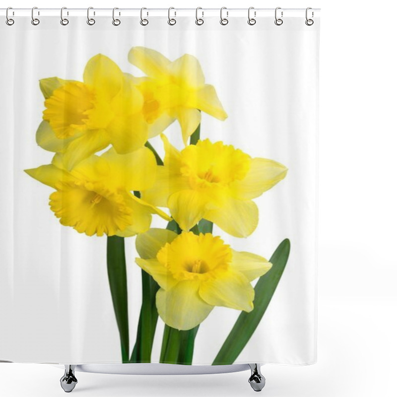 Personality  Yellow Daffodil Flowers Shower Curtains