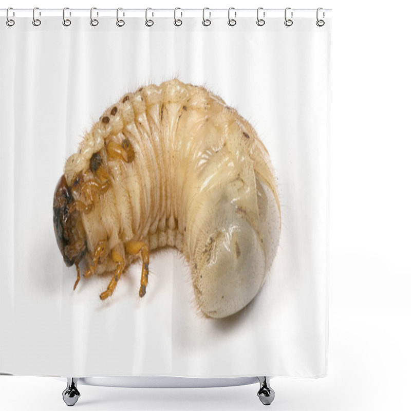 Personality  Larva Of A Rhinoceros Beetle Shower Curtains