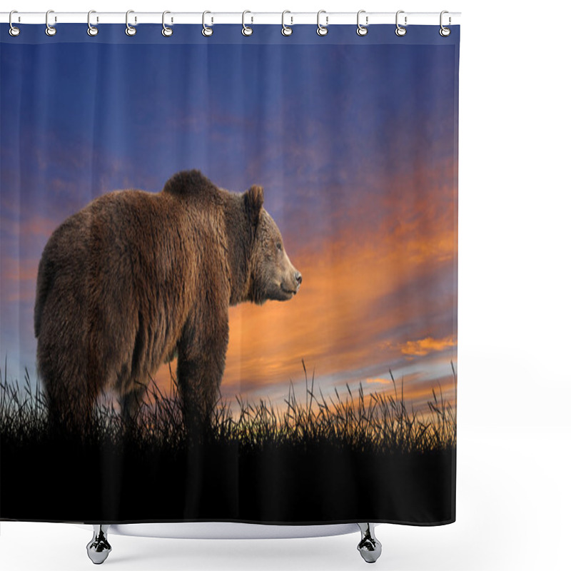 Personality  Bear On The Background Of Sunset Sky Shower Curtains