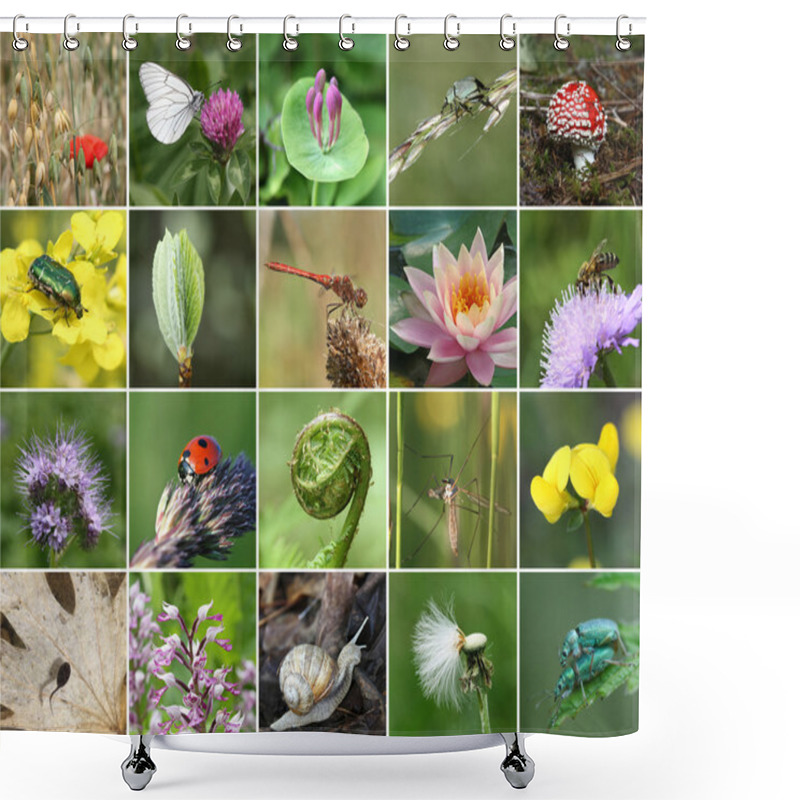 Personality  Biodiversity Collage Shower Curtains