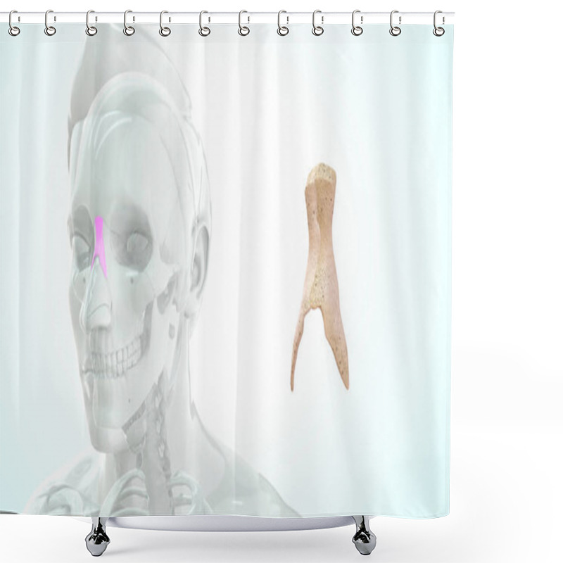 Personality  Human Throat Bone Anatomy 3d Illustration Shower Curtains