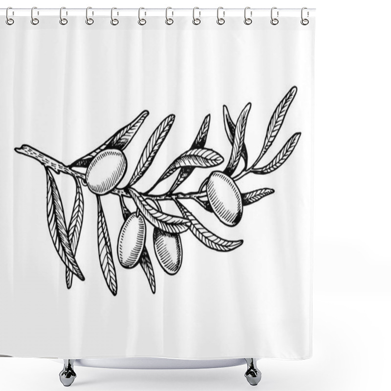 Personality  Olive Branch Engraving Style Vector Illustration Shower Curtains