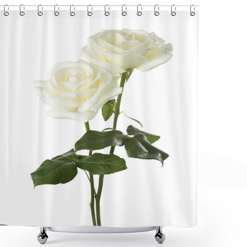 Personality  Two White  Roses Isolated On White. Shower Curtains