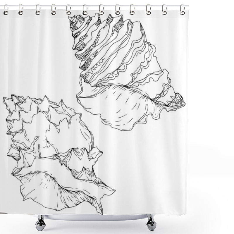 Personality  Summer Beach Seashell Tropical Elements. Black And White Engraved Ink Art. Isolated Shells Illustration Element. Shower Curtains