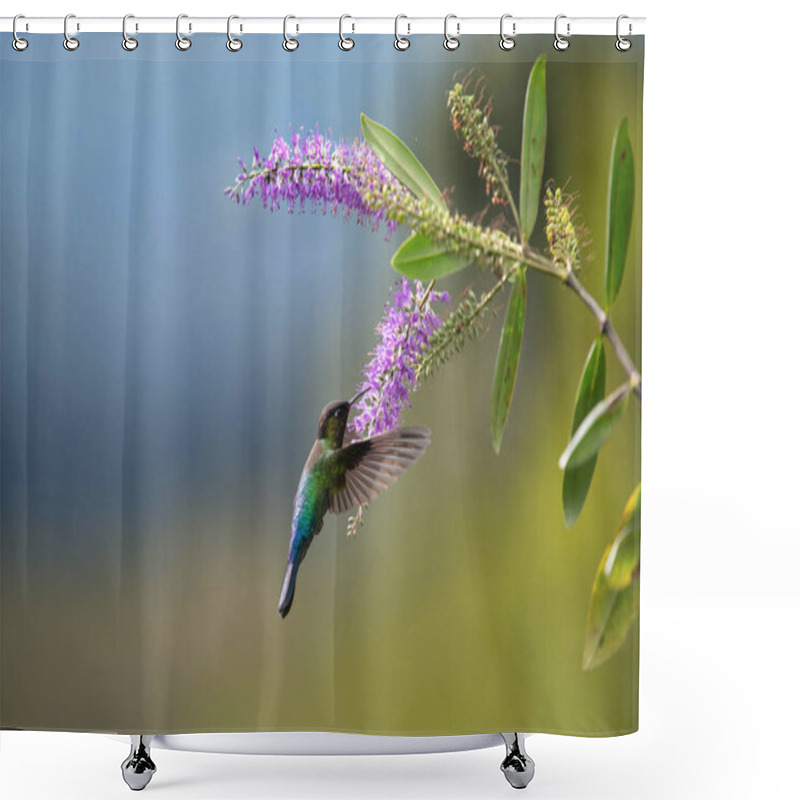 Personality  Flying Beautiful Hummingbird Costa Rica Shower Curtains