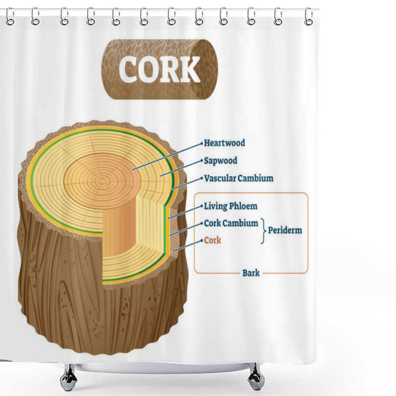 Personality  Cork As Natural Material Cross Section Labeled Structure Vector Illustration Shower Curtains