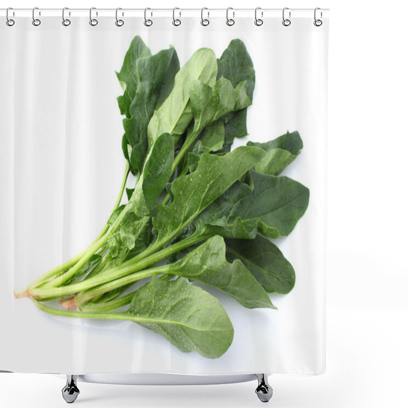 Personality  Spinach Leaves Shower Curtains