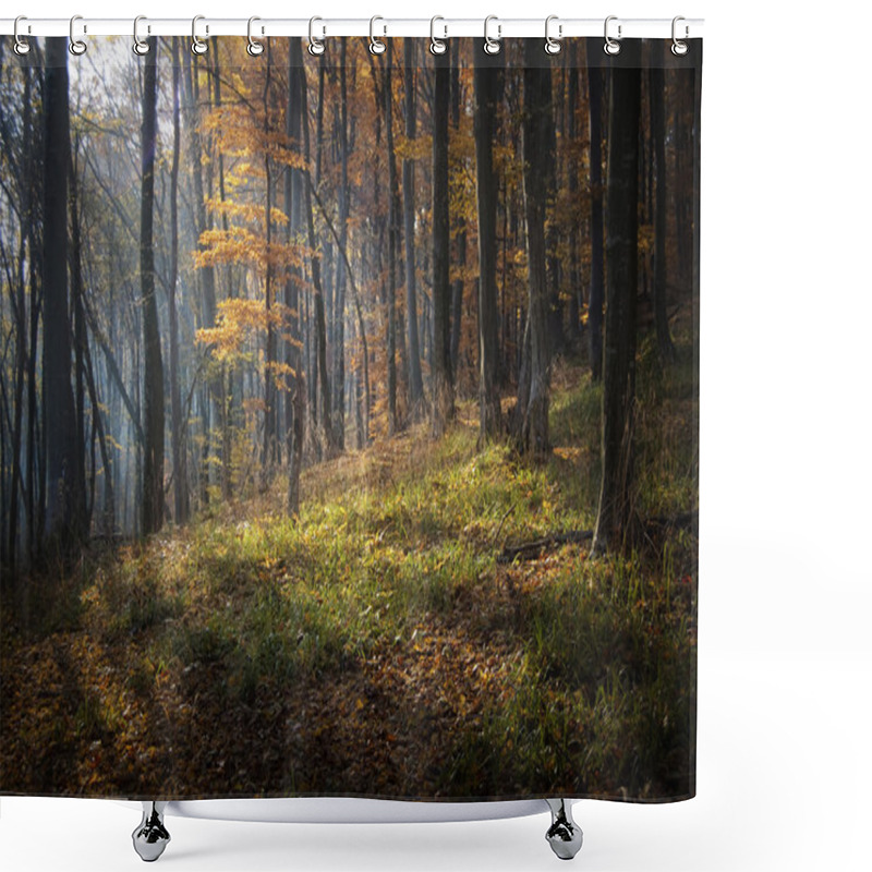 Personality  Autumn Light In Forest Shower Curtains