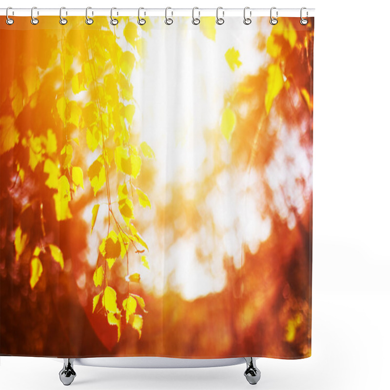 Personality  Autumn Branches Shower Curtains