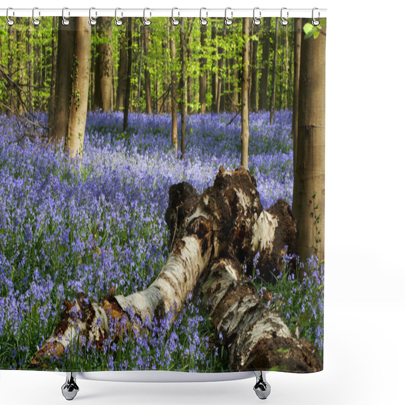 Personality  Fallen Trees Shower Curtains