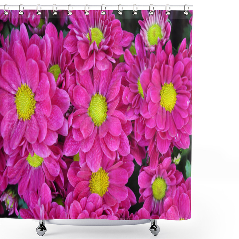 Personality  Violet Flower Background Shower Curtains