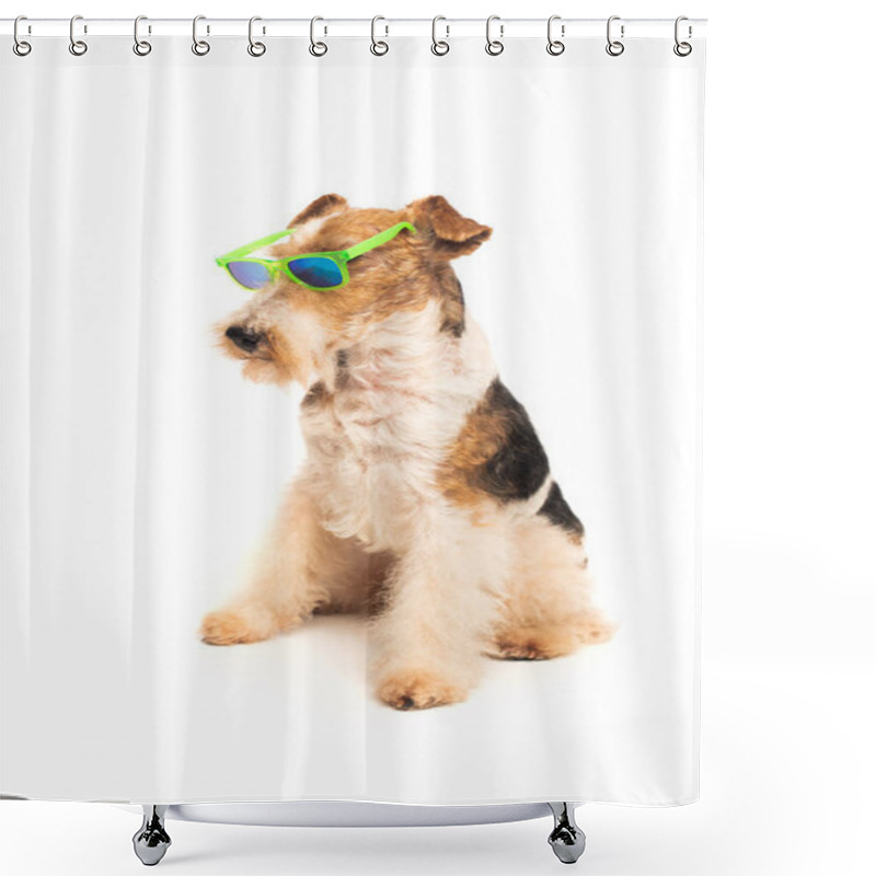 Personality  Curly And Purebred Fox Terrier In Stylish Sunglasses Sitting Isolated On White Shower Curtains