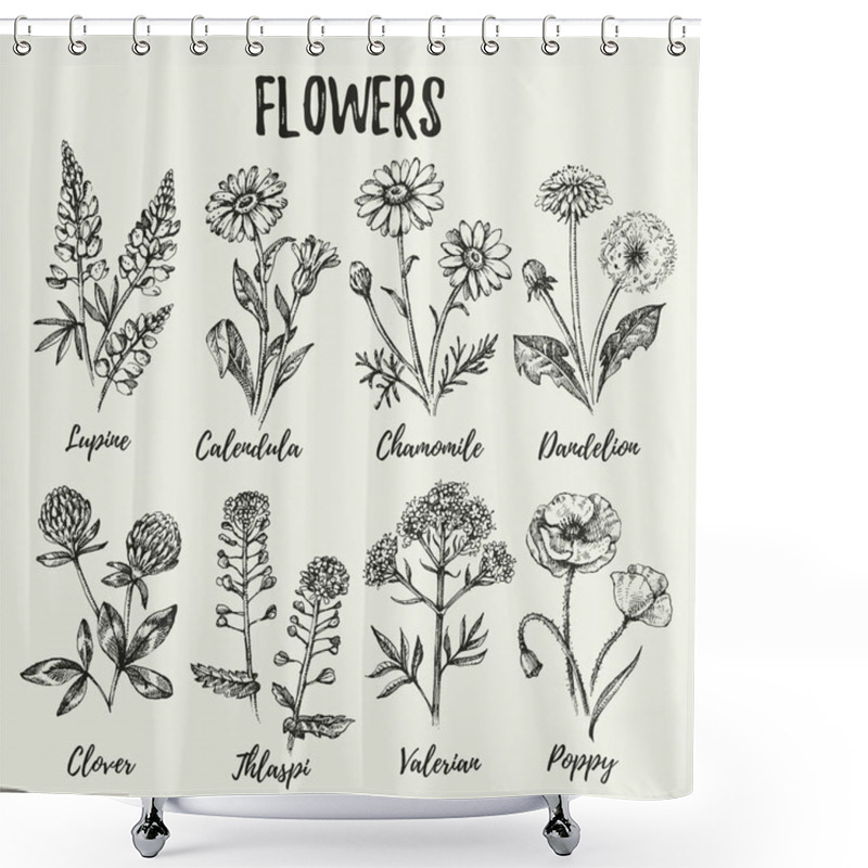 Personality  Hand Drawn Sketch Wildflowers Set. Vector Illustration Of Medical Herbs And Flower Shower Curtains