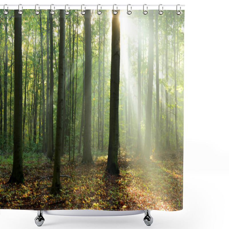 Personality  Beautiful Morning Sunbeams In Misty Forest Shower Curtains