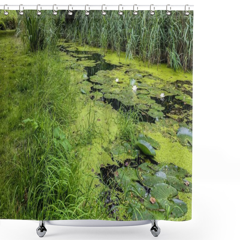 Personality  Flowering Algae On A River In The Spreewald   Shower Curtains