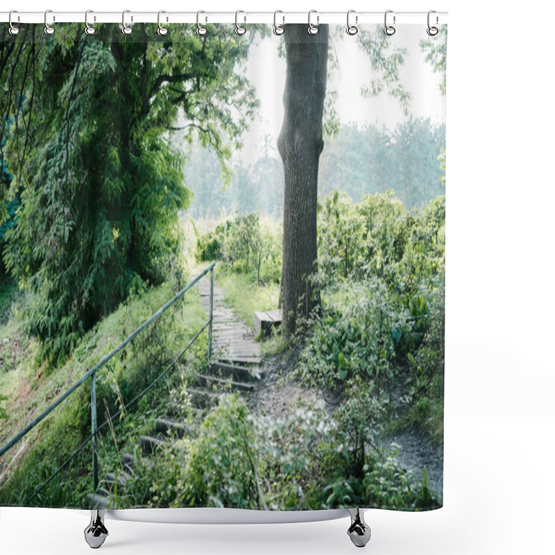 Personality  Stairs And Footpath In Green Park On Sunny Day Shower Curtains