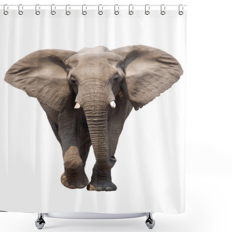 Personality  Elephant Isolated Shower Curtains