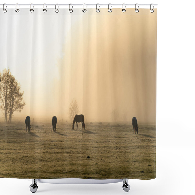 Personality  Horses In The Fog Of A Spring Sunrise. Shower Curtains