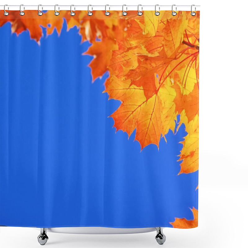 Personality  Ahornblatt - Maple Leaf 21 Shower Curtains