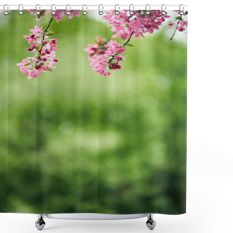 Personality  Close-up Shot Of Beautiful Pink Cherry Blossom On Green Natural Background Shower Curtains