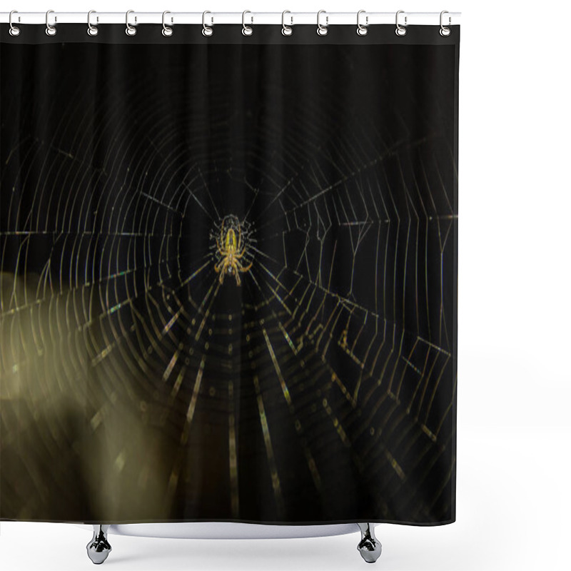 Personality  Spider Web On The Dark Background Shower Curtains