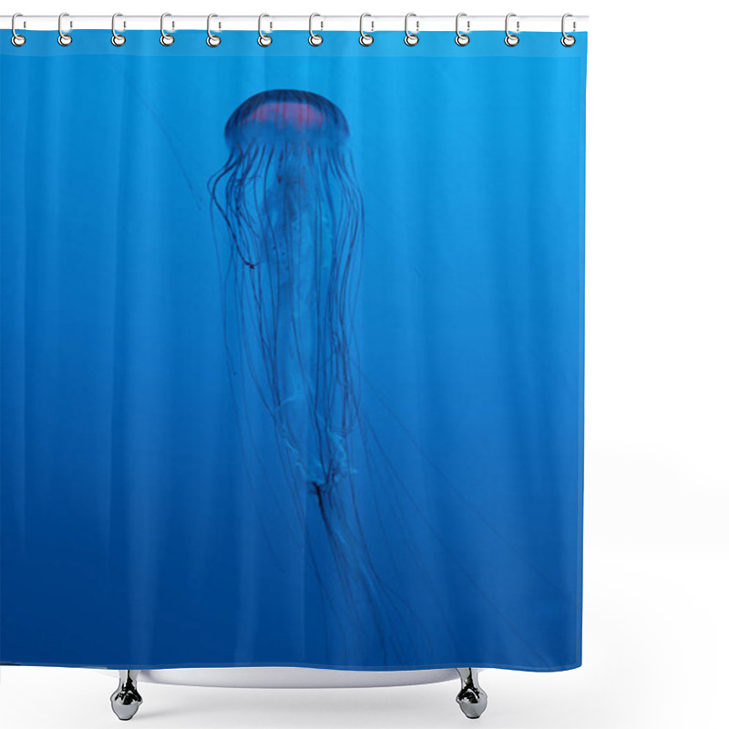 Personality  Japanese Sea Nettle Jellyfish On Blue Background Shower Curtains