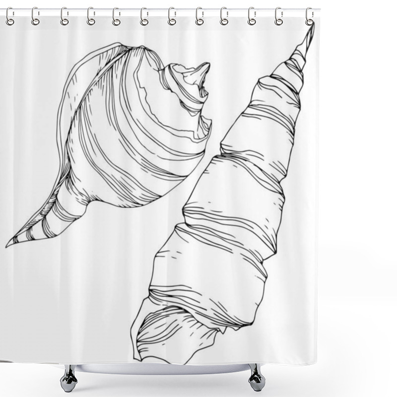 Personality  Summer Beach Seashell Tropical Elements. Black And White Engraved Ink Art. Isolated Shells Illustration Element. Shower Curtains