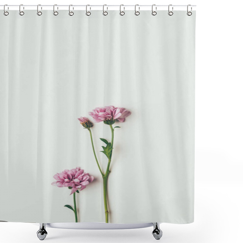 Personality  Beautiful Pink Chrysanthemum Flowers Isolated On Grey Shower Curtains