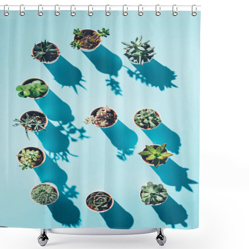 Personality  Top View Of Letter G Made From Green Potted Plants On Blue Shower Curtains