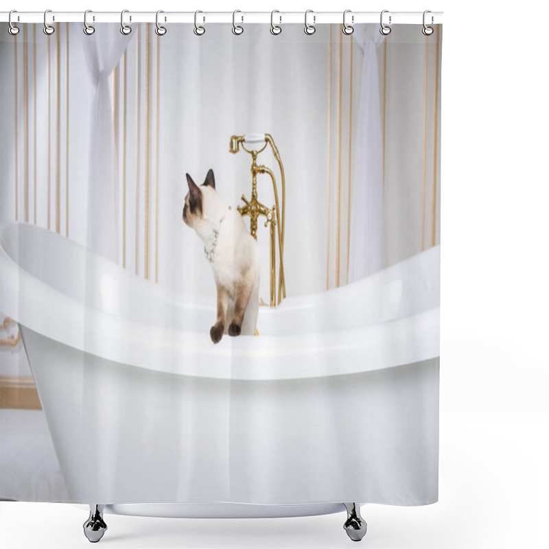 Personality  The Theme Is Luxury And Wealth. A Cat Without A Tail Of The Mekong Bobtail Breed In A Retro Bathroom In The Interior Of The Barocoo Versailles Palace. Jewel Jewelery On The Neck. Shower Curtains