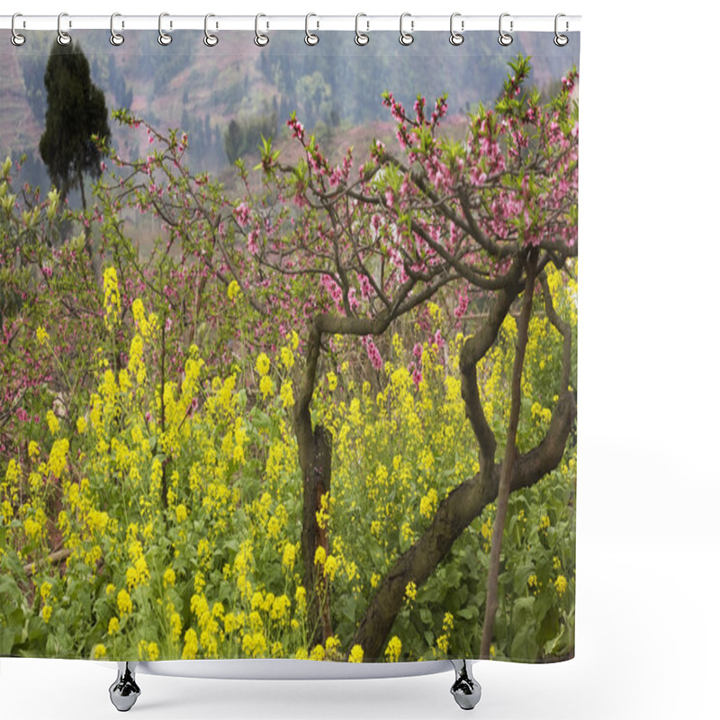 Personality  Pink Peach Yellow Canola Blossoms Sichuan China Shower Curtains