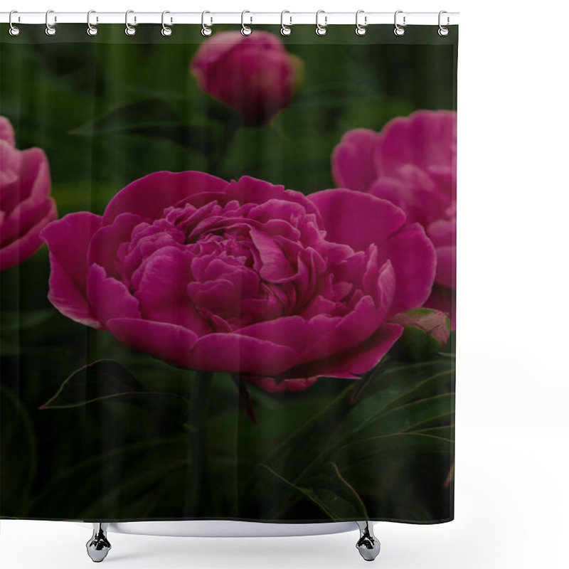 Personality  A Stunning Close-up Of A Pink Peony Flower In Full Bloom, Showcasing Its Soft Petals And Intricate Details. A Perfect Symbol Of Elegance And Natural Beauty. Shower Curtains