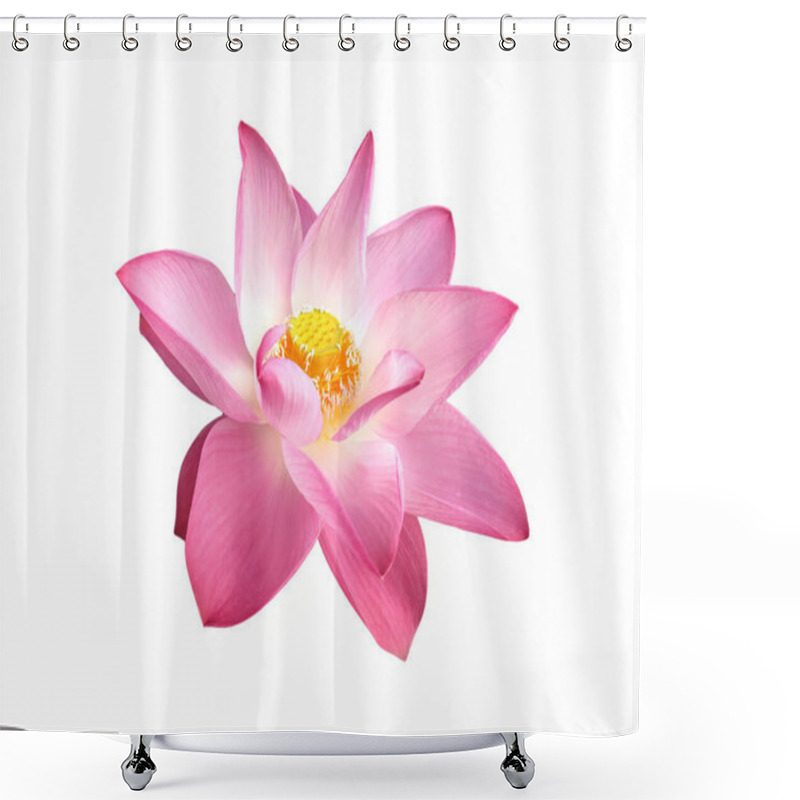 Personality  Beautiful Pink Lotus Flower Blooming With Visible Stamens And Pistils Isolated On White Background With Clipping Path. Concept: Water Lily Symbolizes Purity In Buddhism. Shower Curtains