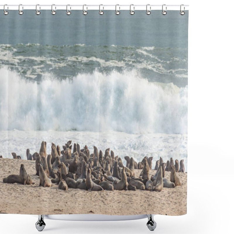 Personality  Skeleton Coast Fur Seal Colony At Cape Cross Namibia Shower Curtains