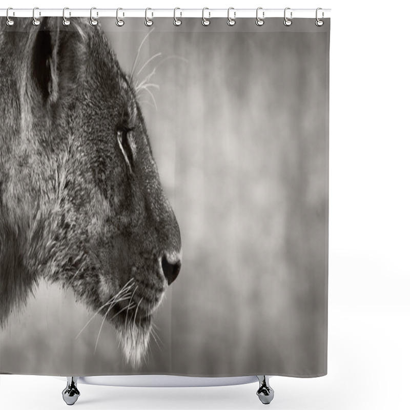 Personality  Lion Side View Shower Curtains