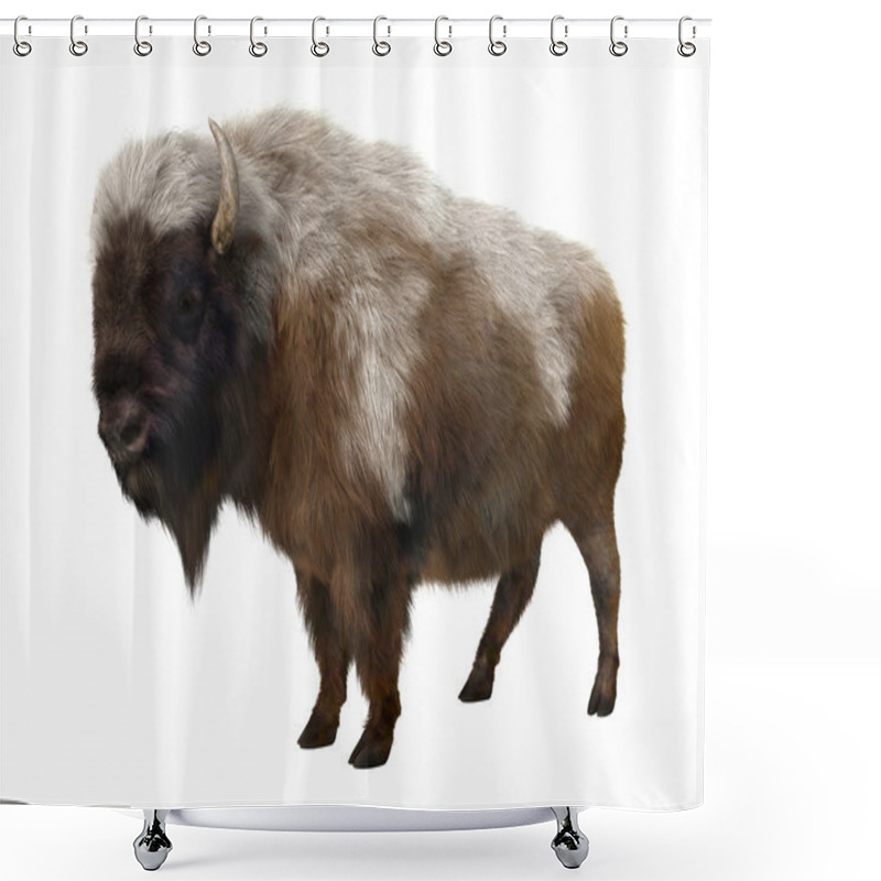 Personality  American Bison Shower Curtains