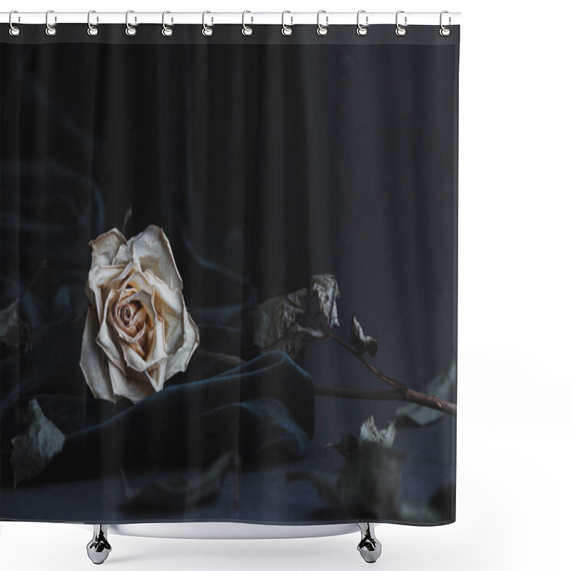 Personality  Dried White Rose On Gray Background With Dark Velvet Draping Shower Curtains