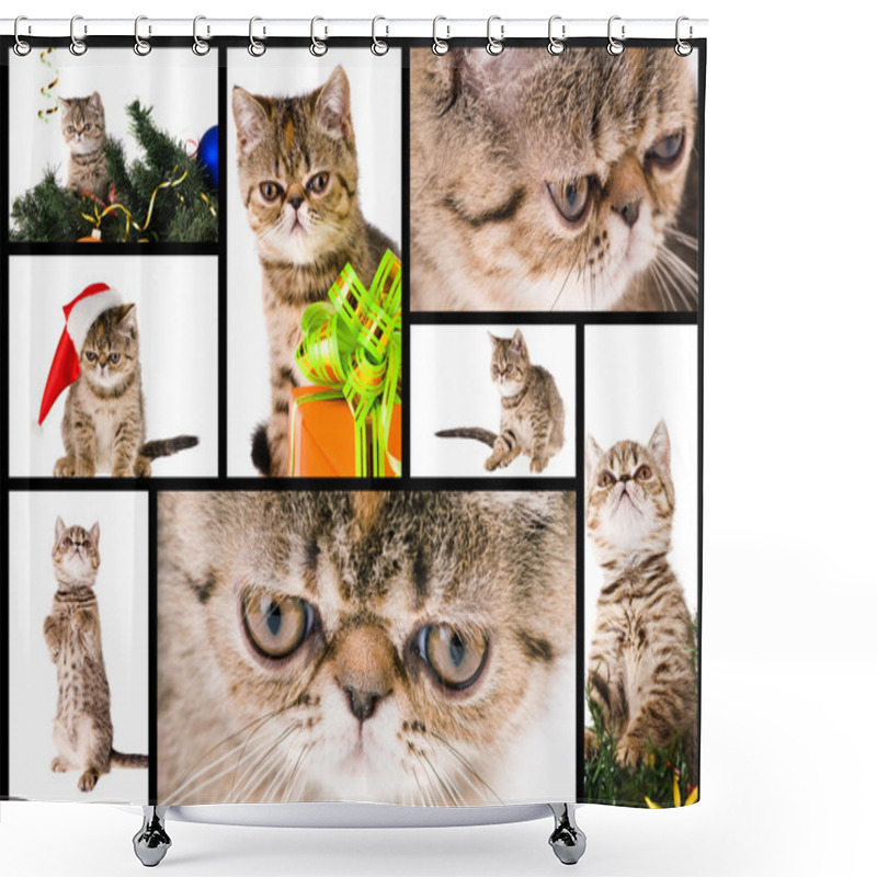 Personality  Kitten Shower Curtains