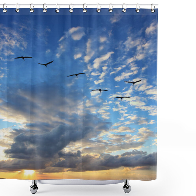 Personality  Migratory Birds Shower Curtains