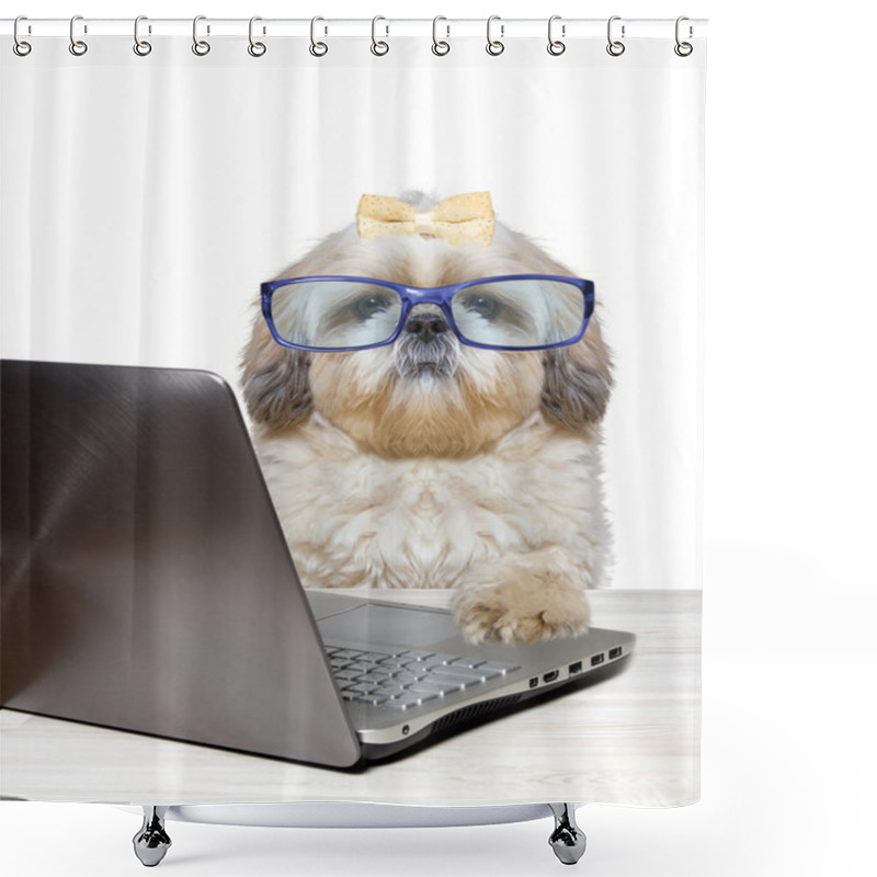 Personality  Dog Working At A Laptop Shower Curtains