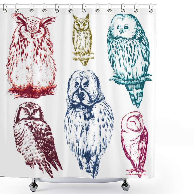 Personality  Different Owls Collection. Shower Curtains