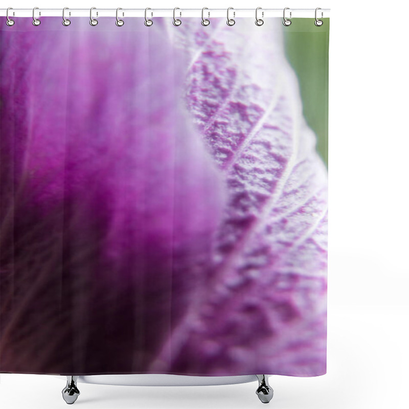 Personality  Explore The Intricate Beauty Of A Vivid Purple Hibiscus Bud In A Stunning Close-up Photo, Showcasing The Delicate Details Of Nature's Floral Perfection Shower Curtains