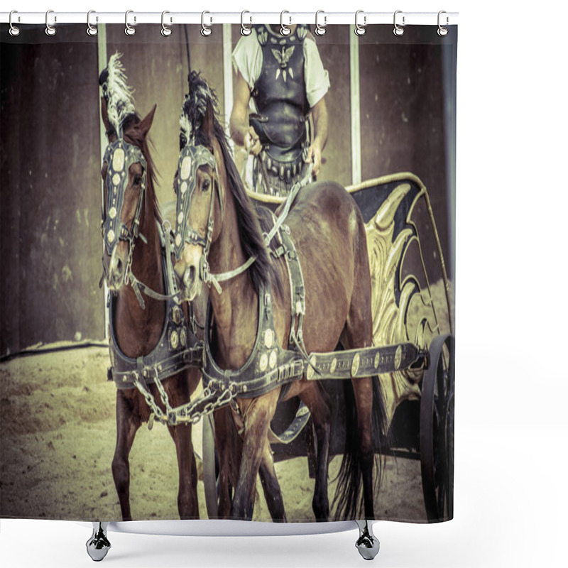 Personality  Roman Chariot In A Fight Of Gladiators Shower Curtains