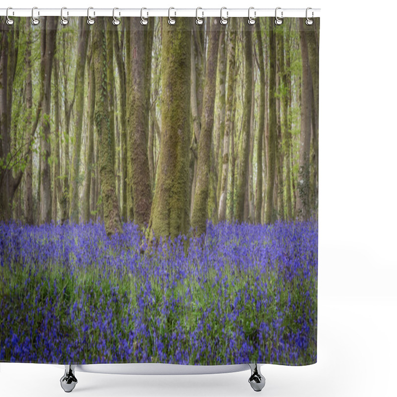 Personality  Bluebell Wood Cornwall England Uk  Shower Curtains