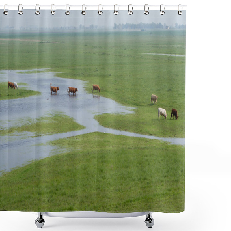 Personality  Cows Shower Curtains