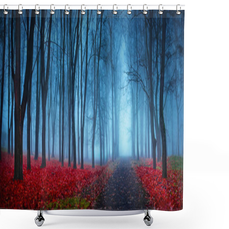 Personality  Beautiful Mystical Forest In Blue Fog In Autumn Shower Curtains